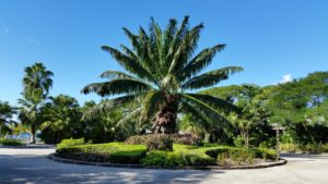 Chankanaab Park, Mexico