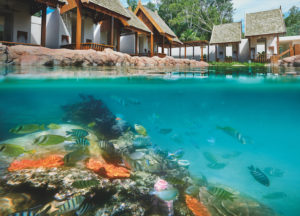Swim Reef © YTL Hotels