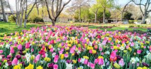 Dallas Arboretum