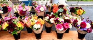 Hillsdale Farmers' Market