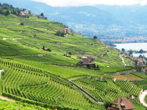 Lavaux, Switzerland