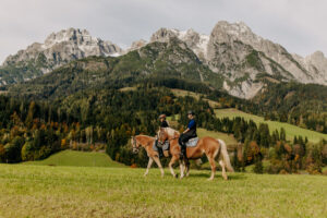 horseback
