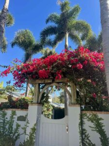 Boca Grande