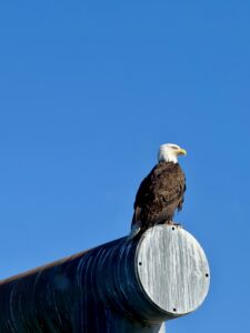 Alaska
