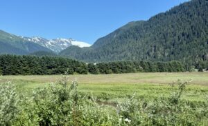 Alaska