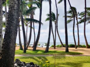 Maui
