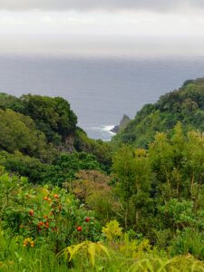 Maui