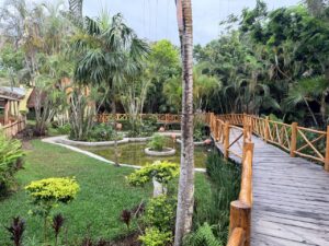 Cozumel