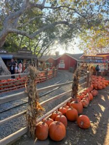 pumpkin
