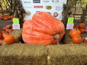 pumpkin